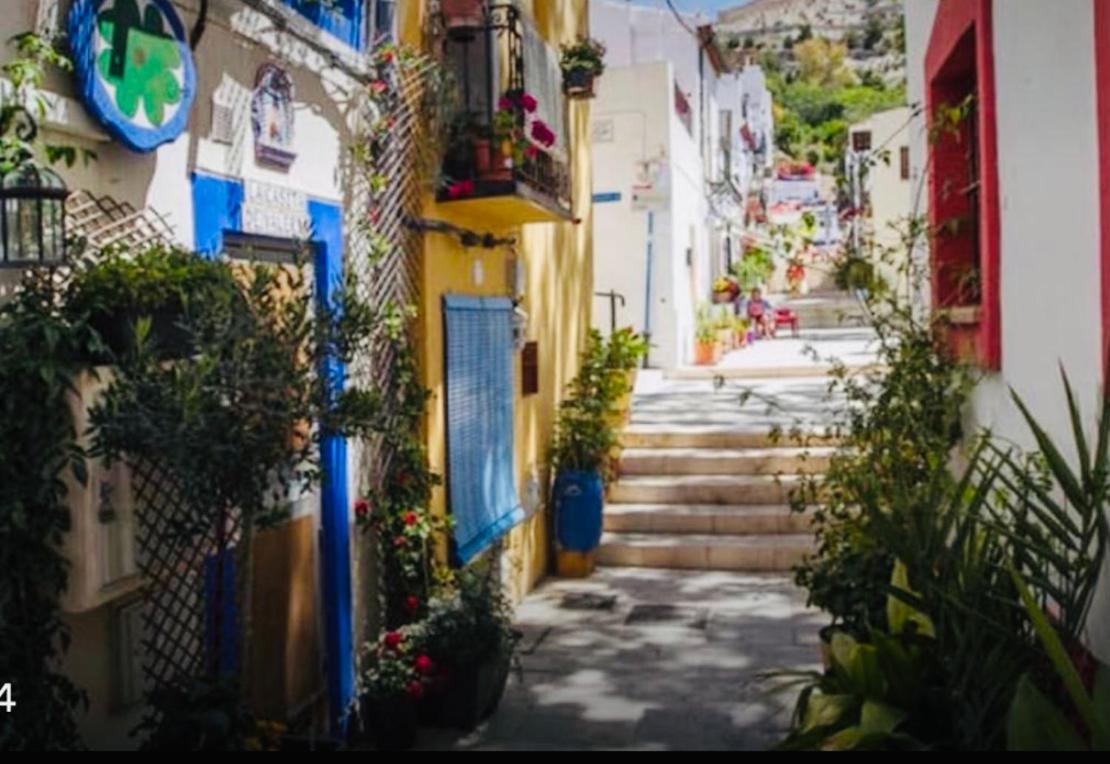 Casita Del Flamingo En Casco Historico Villa Alicante Exteriör bild